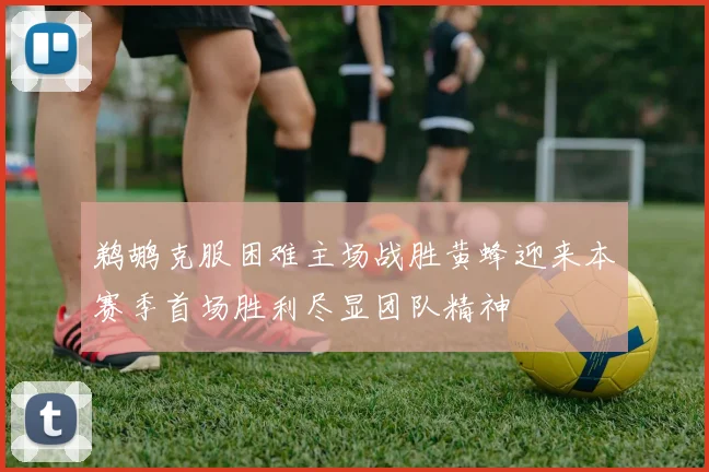 鹈鹕克服困难主场战胜黄蜂迎来本赛季首场胜利尽显团队精神
